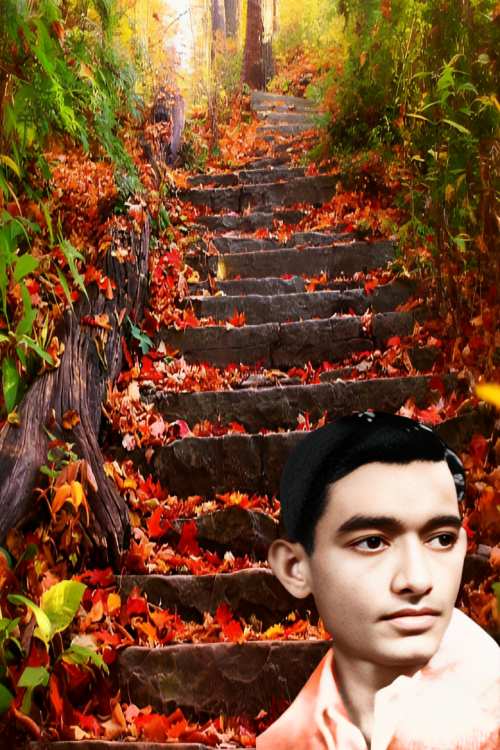 fall-photo-backgrounds-wallpaper-preview-fotor-20231003111735 (1)-fotor-20231003114446