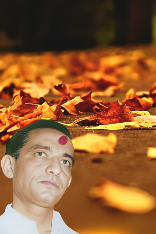 itl.cat_fall-leaves-iphone-wallpaper_1959583 (2)_cleanup (1)-fotor-202310077256